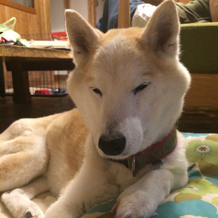 43411e10 7b41 4699 8265 170a1c5aed49 1562249721545