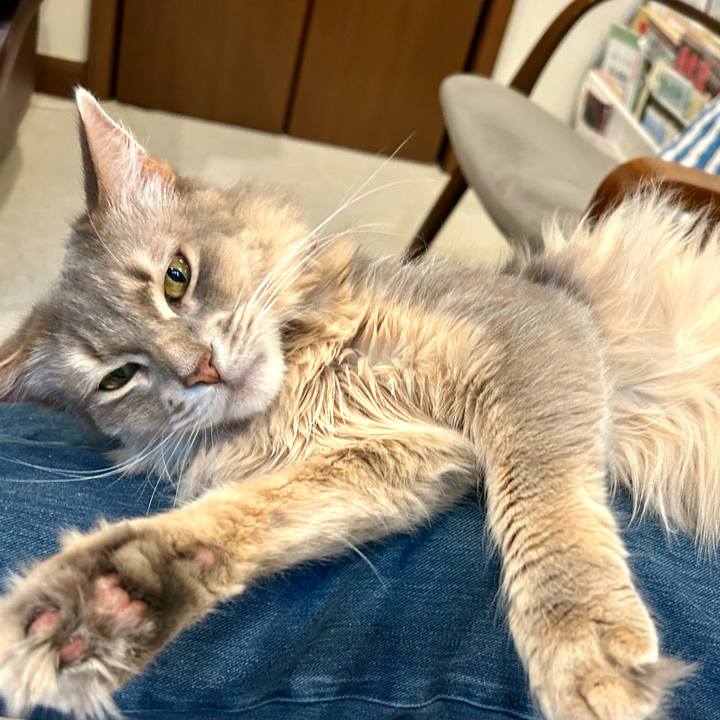 43413371 89ed 4205 be33 6b38fe460e38 1780390628307