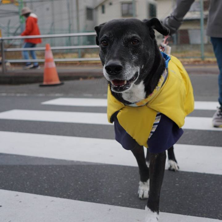 434135e2 0ddd 464d 99b8 82e65031df52 1766189606207