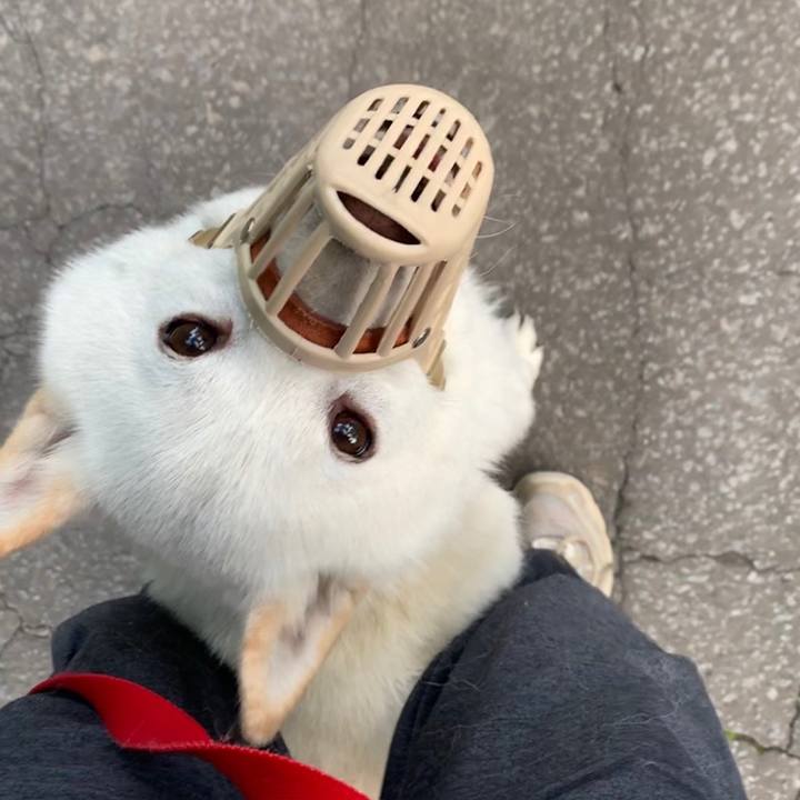 434176b8 deb2 4454 978c f403c549d54d 1560033335249