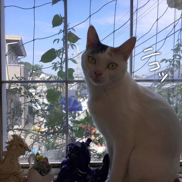 43418b5d 6d12 48fd 8747 814537ad345c 1598309578492