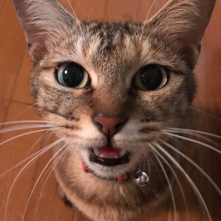 4341f814 5b06 464a 89af af8766312c20 1582369748119