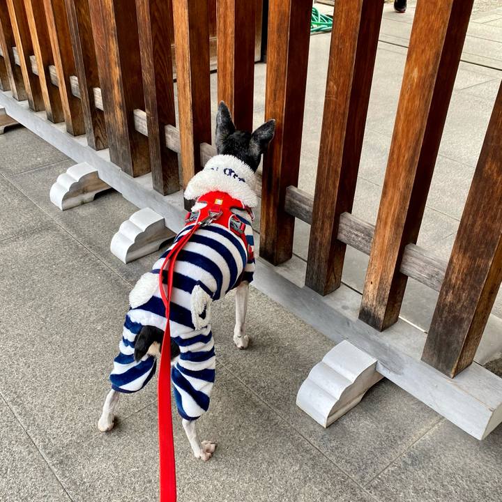 4341fce6 5641 45a5 a21d df262d0b32f7 1608943658697