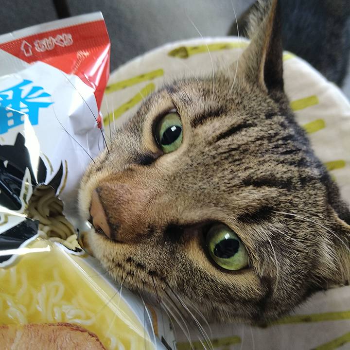 434206ef db93 4b18 aae2 7505e704d526 1730863760214