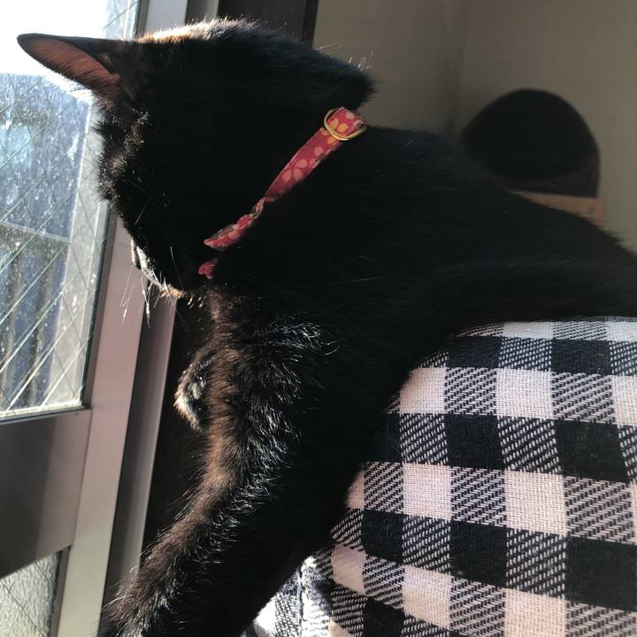 43422fa8 42e9 4be8 9ff0 1588163edc98 1519685726808