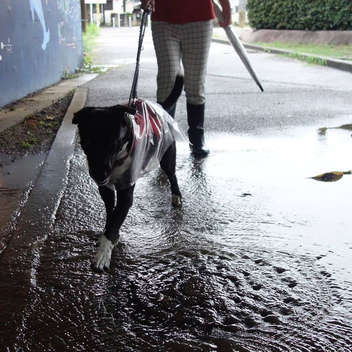 43423401 7732 4107 a628 2ef2ad72832f 1631923065296