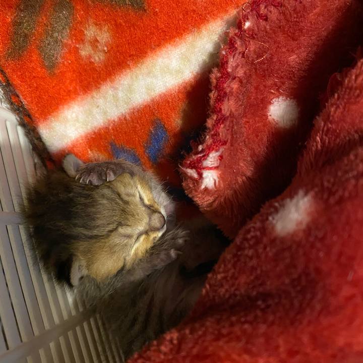 43425f85 4278 43f7 b8c1 6cf3ea7d8a2a 1618146248295