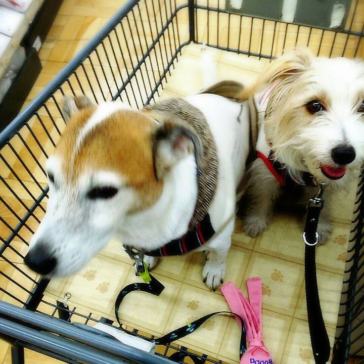 434280bd 1b74 40b8 97d1 1cdcf989312c 1512297267589