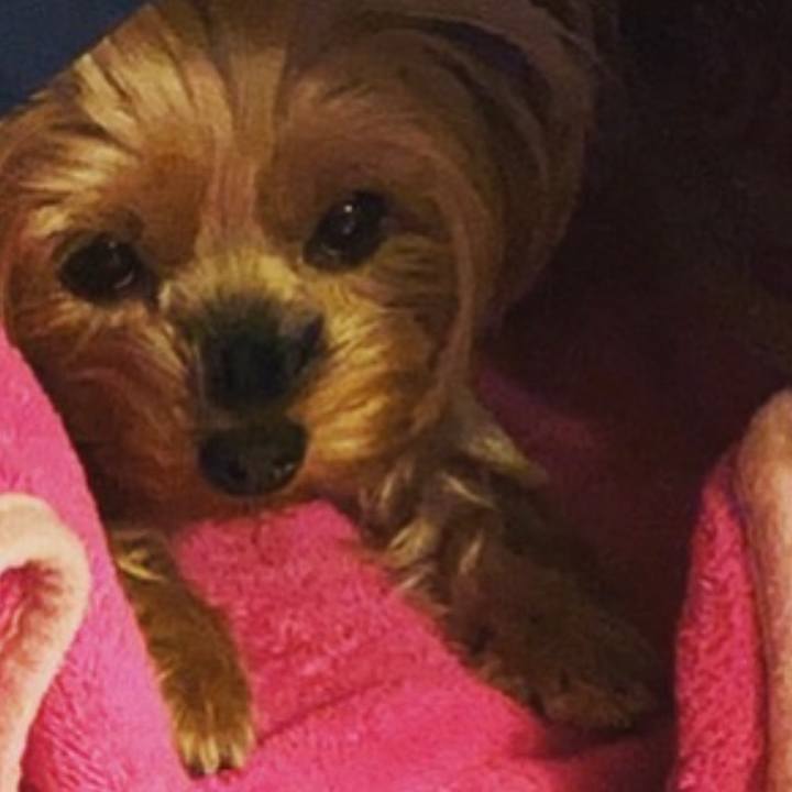 43428cae afa8 4e69 9067 42e4cd6e39f7 1667257674324