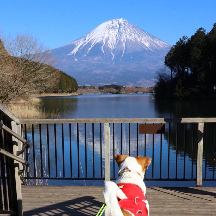 43429bd7 dcac 4e75 b8ee 2fe28d5aed32 1549160205087