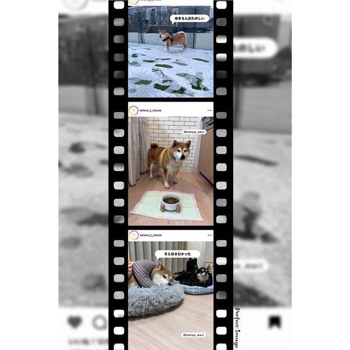 4342a6d8 c431 4fbd aae9 fb3524361af2 1717759417983