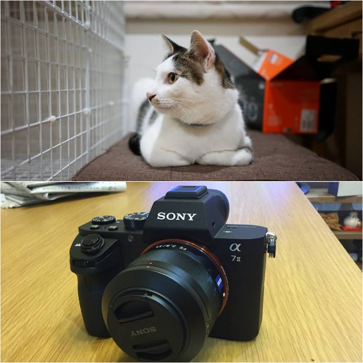 4342af78 4007 4223 b281 6151900f5d20 1537799459432