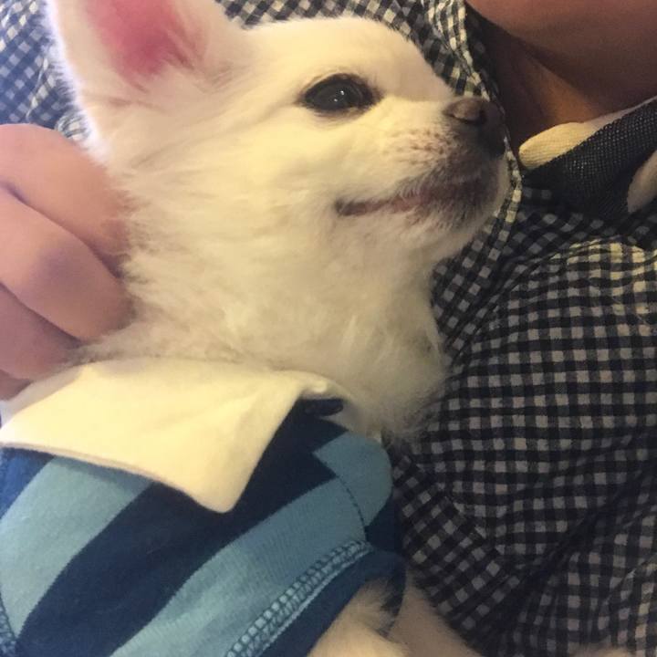 4342c66a 1b11 4125 9dd0 9bfe6227545b 1508201251382