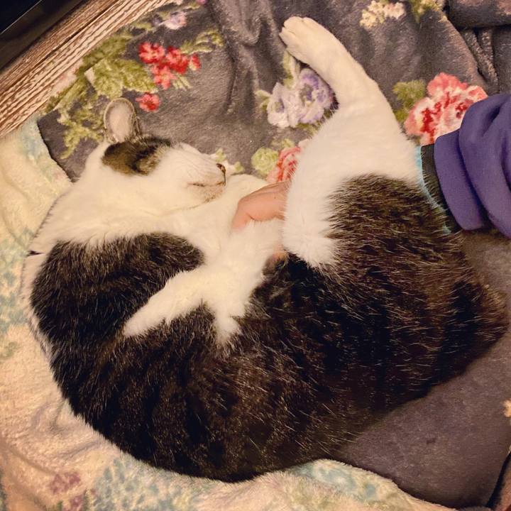 4342d91a bf3a 487b 8b71 4898df8df403 1610293964039