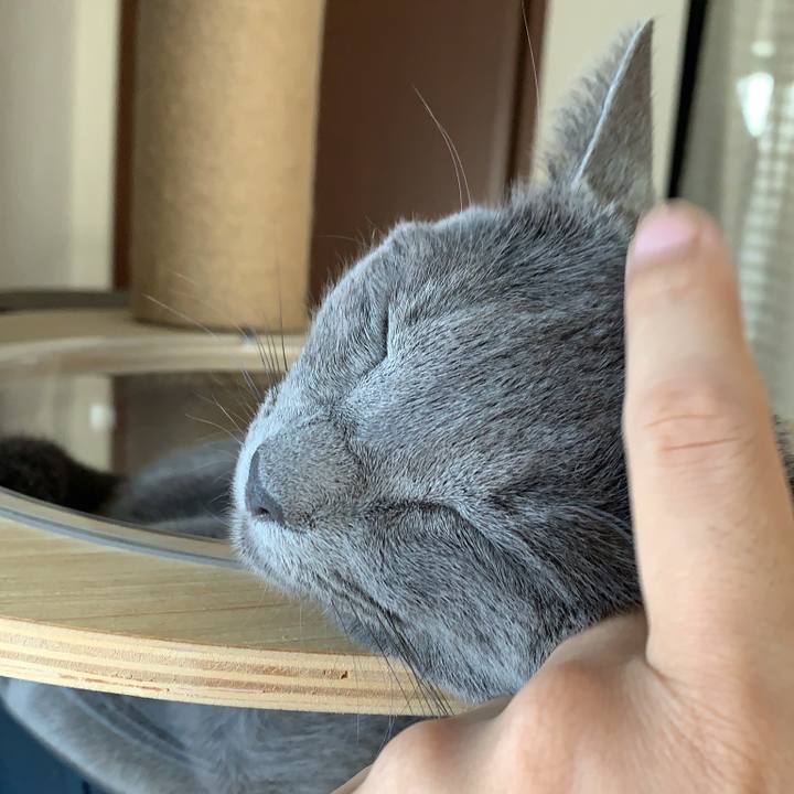 4342eb00 ef79 41f4 b090 2b2953481e3d 1659927489948