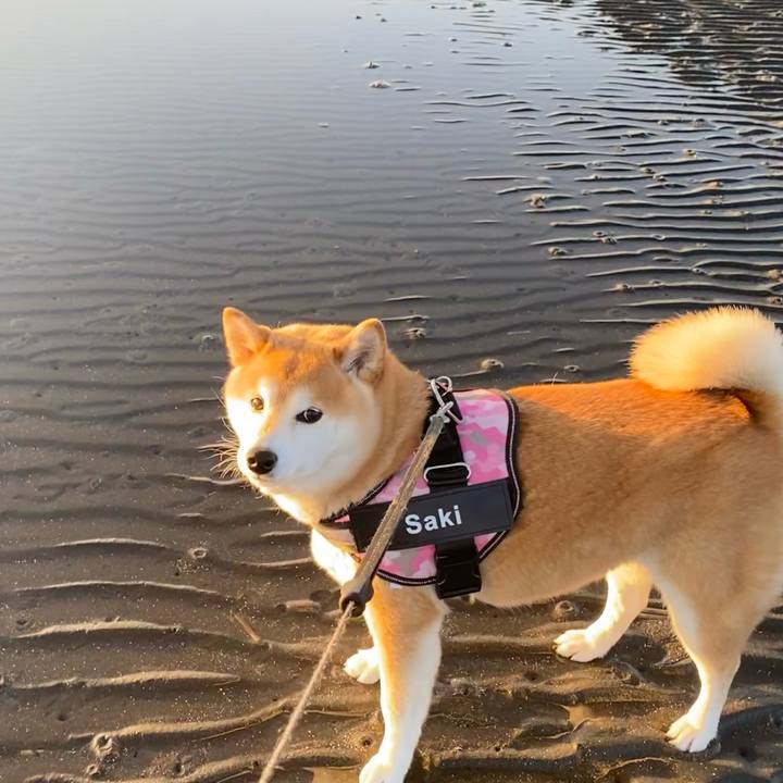 4342f8d3 b891 470a 9d52 1820480c2b62 1639184764465