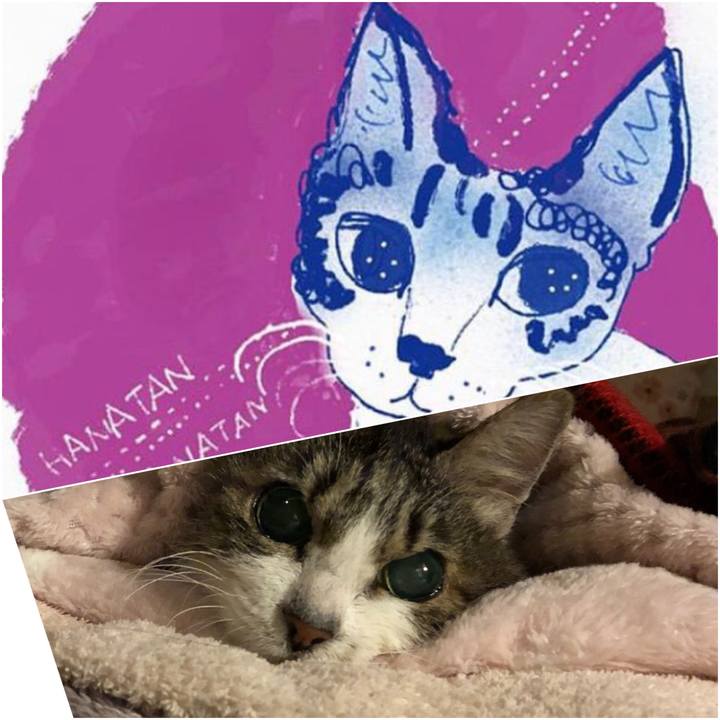 4343ab1c b7b4 458f 9af3 1ba5dbacda71 1579394217666