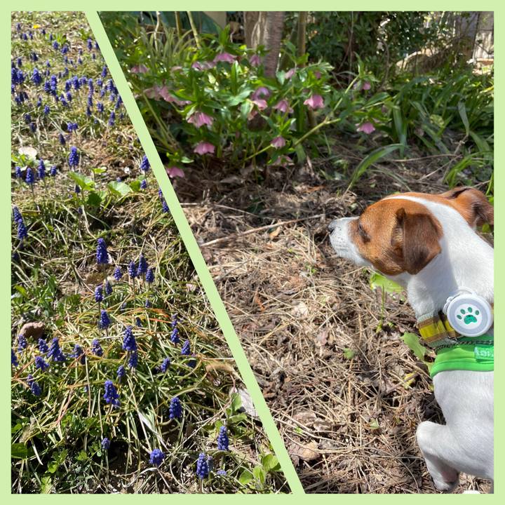 4343b650 5d05 4ccb 90ce 90786276a887 1649501196661