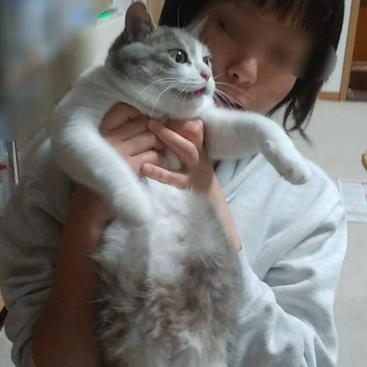 4343c6ac 2a90 4a52 968f 5e44f1819ea3 1588345940168