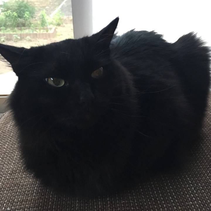 4343d9cd 5ba3 4774 9b44 c5d3cf739a5a 1528420139038