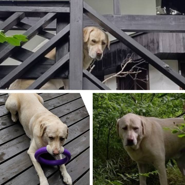 4343f933 a474 4ab8 8a7e 04bb4c256b0b 1662225353374