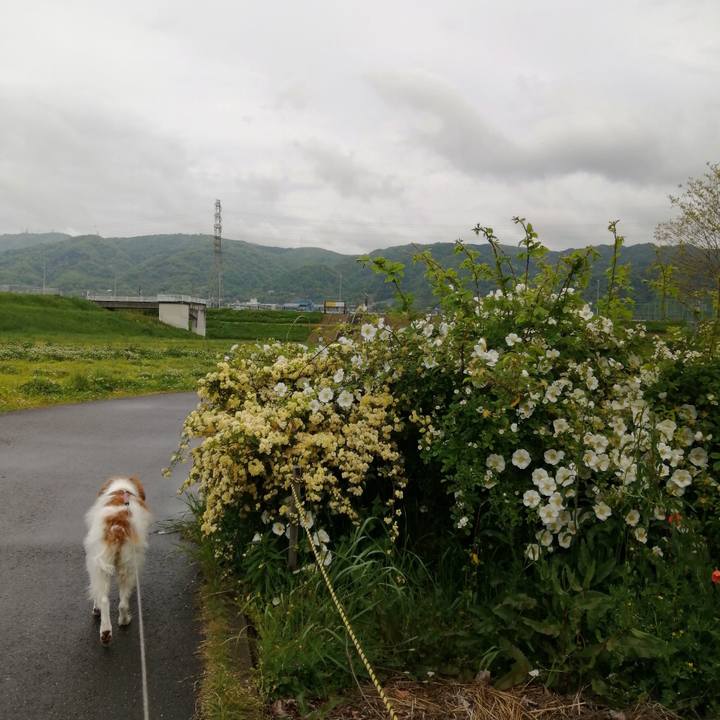 43442d50 af1e 4702 9420 d11c2731c1a8 1619592747140