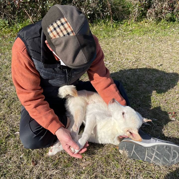 434446c0 f81c 4c26 bb45 7262c1d19449 1677853206936