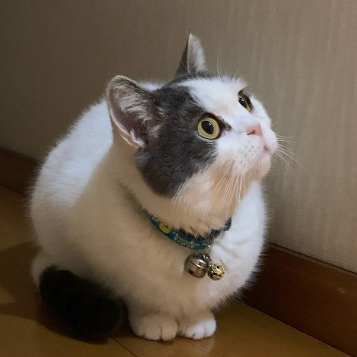 43447ae6 8644 4741 9957 4252b5dddfe5 1651796783376