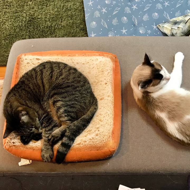 4344812d 74ea 4773 8f6e 895b35e07779 1567736534244