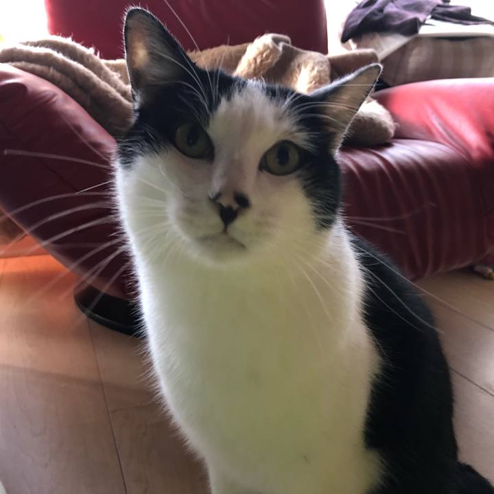 4344ab4e e848 43f7 bcc6 42fcd73b4f49 1576112530272