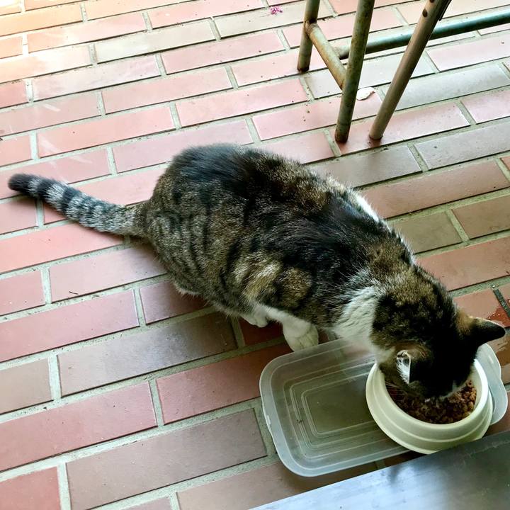 4344bec4 558a 43d7 98e8 e8e6fde8f125 1524022039468