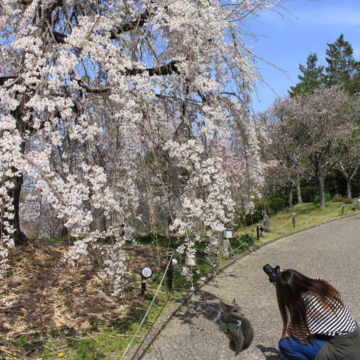 4344d831 d89b 4570 b0a1 468c4c686837 1648624057079