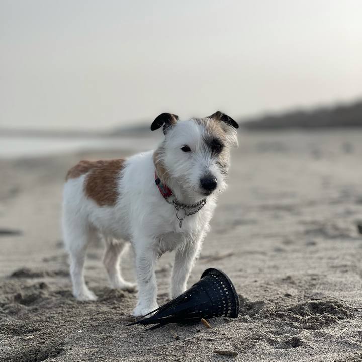 43453b9c 25ba 486e b034 ee8ac7ceafc0 1617057407089