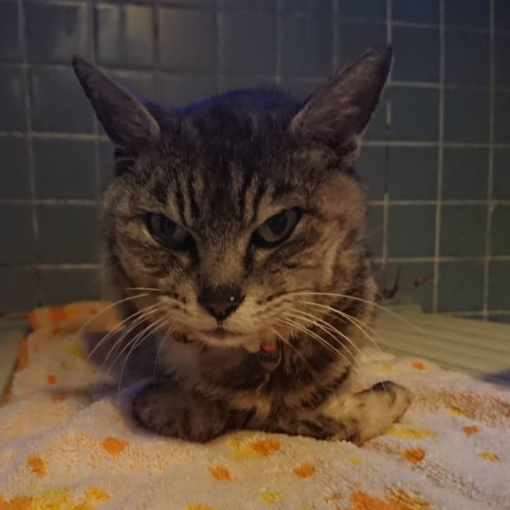 434546a2 b4f2 4cdc 9553 3c20eb1f28de 1596966837306