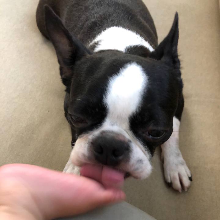 43456098 5cad 4f92 9a54 a94bfd4d377b 1596266508238