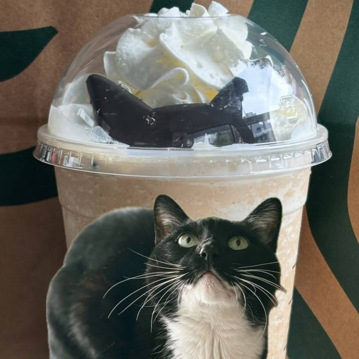 43456645 106c 4388 aede 6721e91dab88 1761388941244