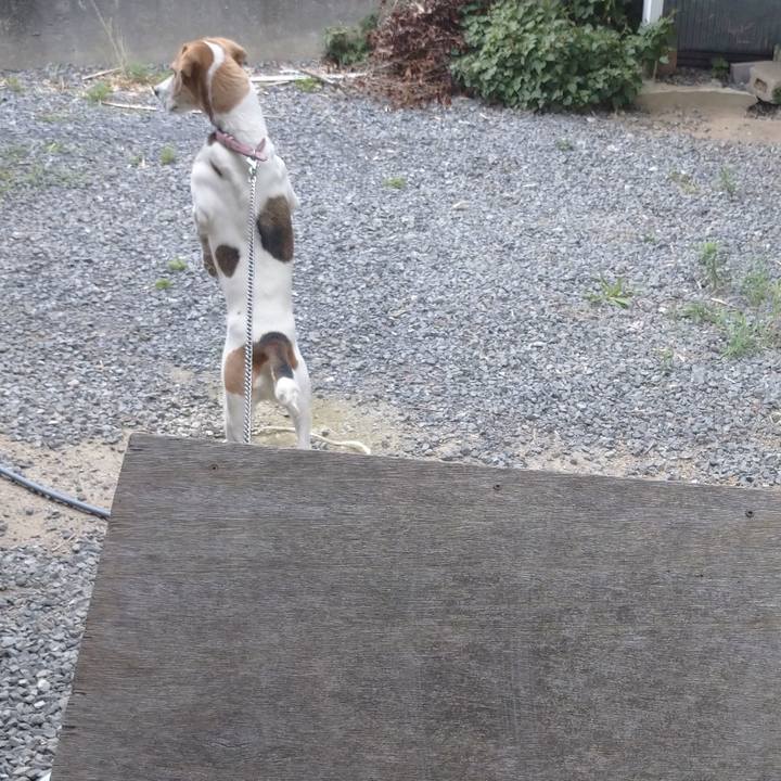 43457c47 a21c 4d7c 89c7 8b7019bedb87 1593429632287