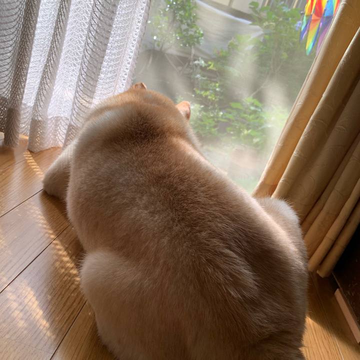 43459a21 7c78 4fbc 9fbf 6793adf2afb9 1629502572721