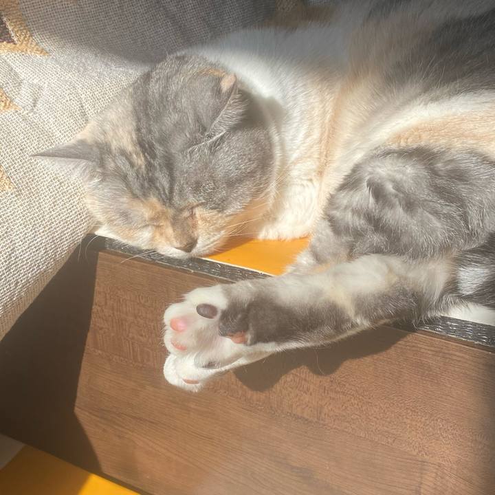 4345ca3f 5023 480a ac98 363e0ae36600 1703300164125