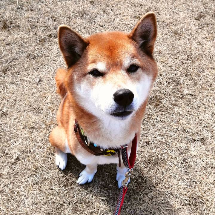 4345d3c1 0c31 49e1 a0a8 ee6ae5287c7b 1612757301130