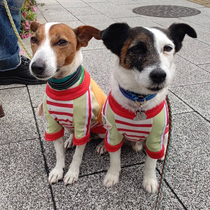 4345f4cb f657 47ae 8af5 d55d8c9fdca5 1715123971148