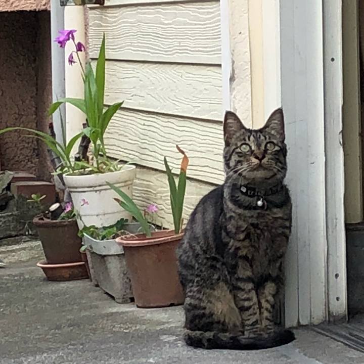 4345fc23 8020 4add af4d d4a2cfc12f93 1525742720122