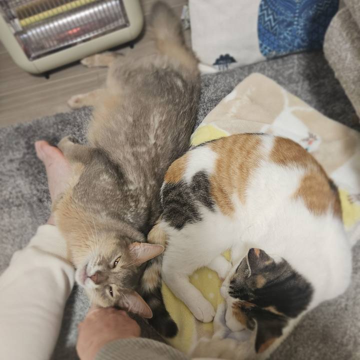 43461fd0 f882 4208 8b71 3bce30c92815 1764673018324