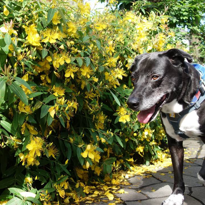 4346204f e4bc 4c41 832e 0fb47c075f23 1717375902539