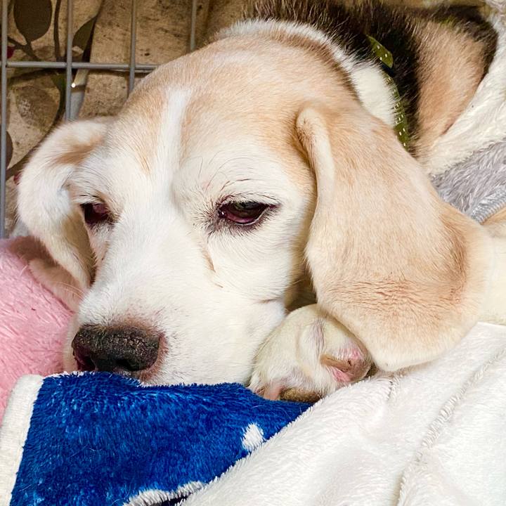 43465d6c d44a 4cb5 8279 0e5fe57d711c 1669537932596