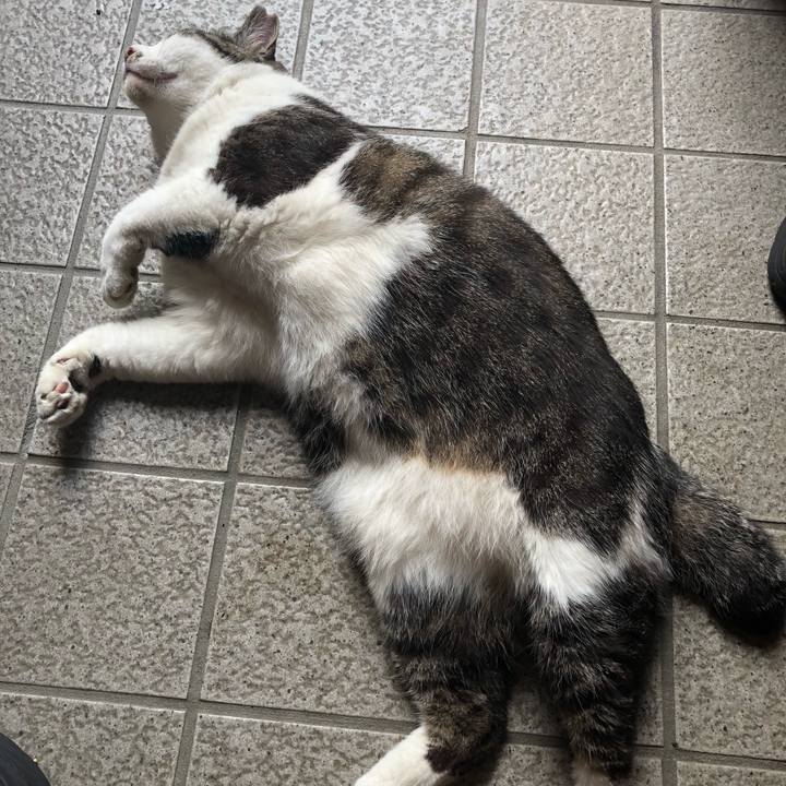 43468146 81b3 4da6 93f8 693d446e2191 1528803719821