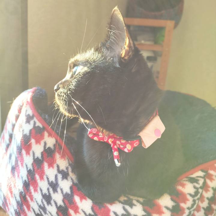 4346bc47 1d8e 4d3d a4f7 9f6cf019c6c0 1667512479672