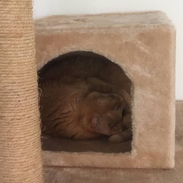 4346f01b 366a 465e 8e52 c1d93ec50ea5 1652041929831