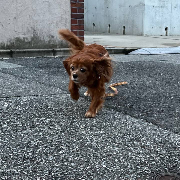 43470ac1 5574 4e62 af5f 520816969446 1714691833504