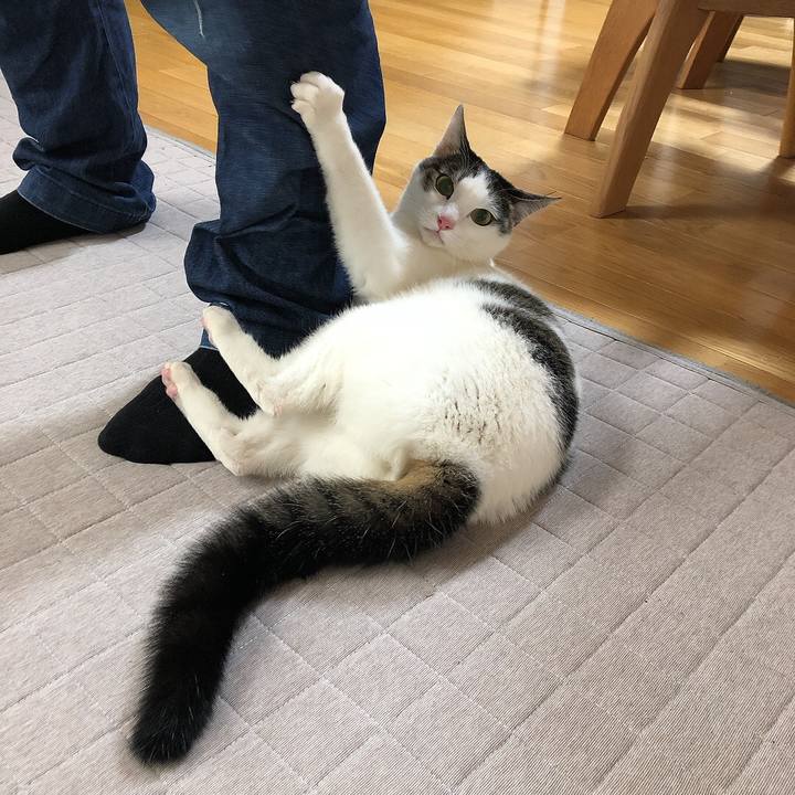 4347a5f1 bd26 4f43 b6d1 4007e6844b44 1641430814331